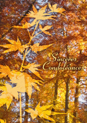 Souvenirs d'automne pour un tendre hommage